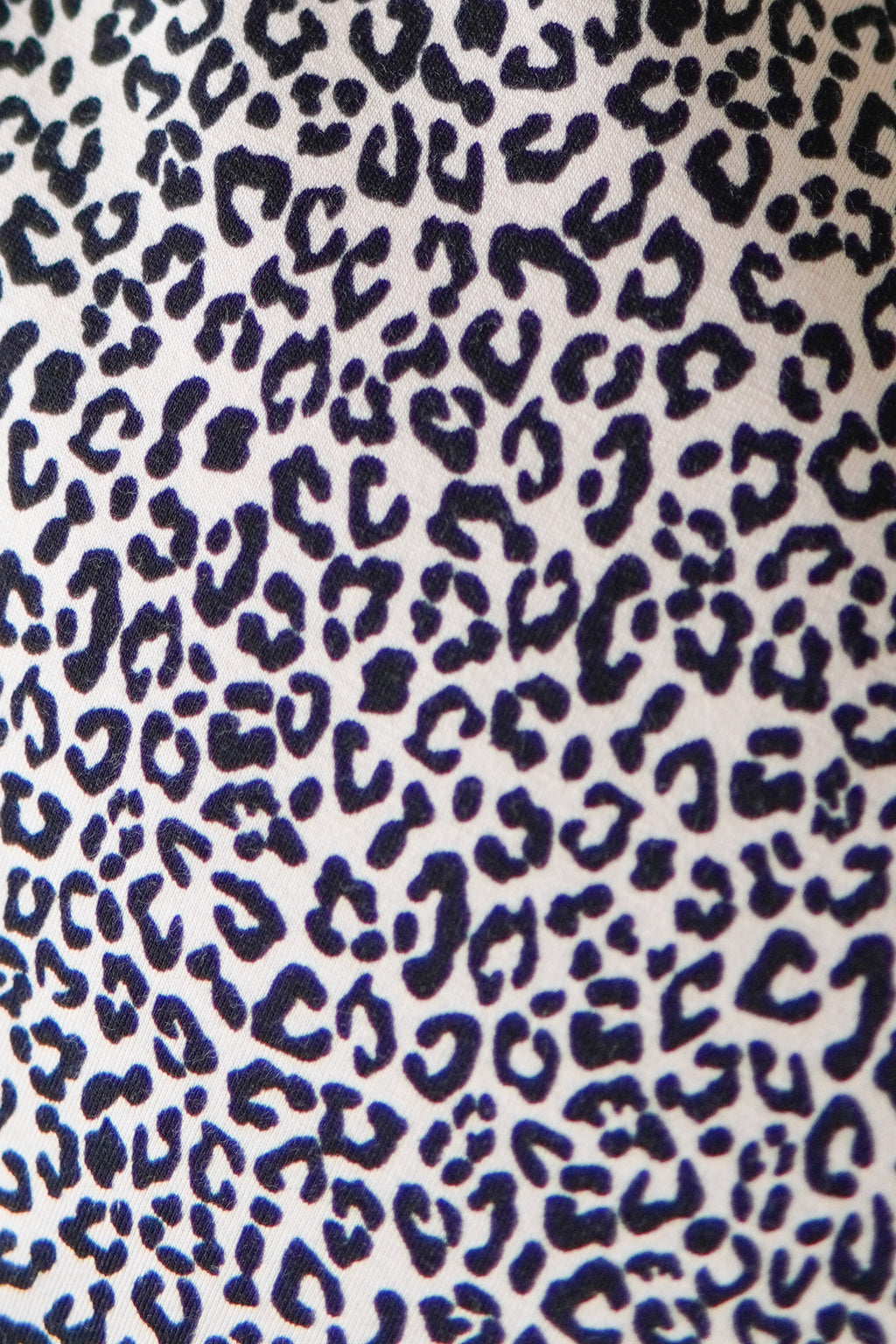 Hülle - Bold Leo