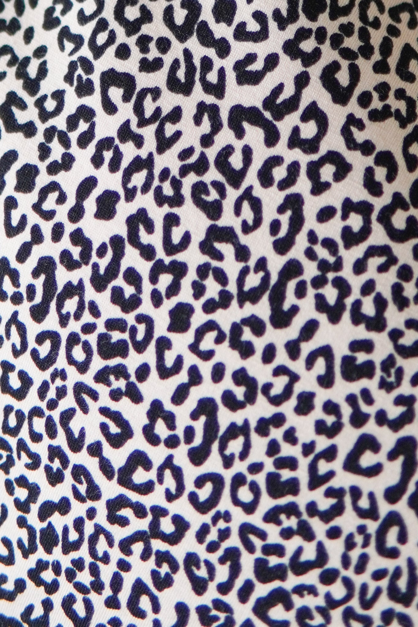 Hülle - Bold Leo