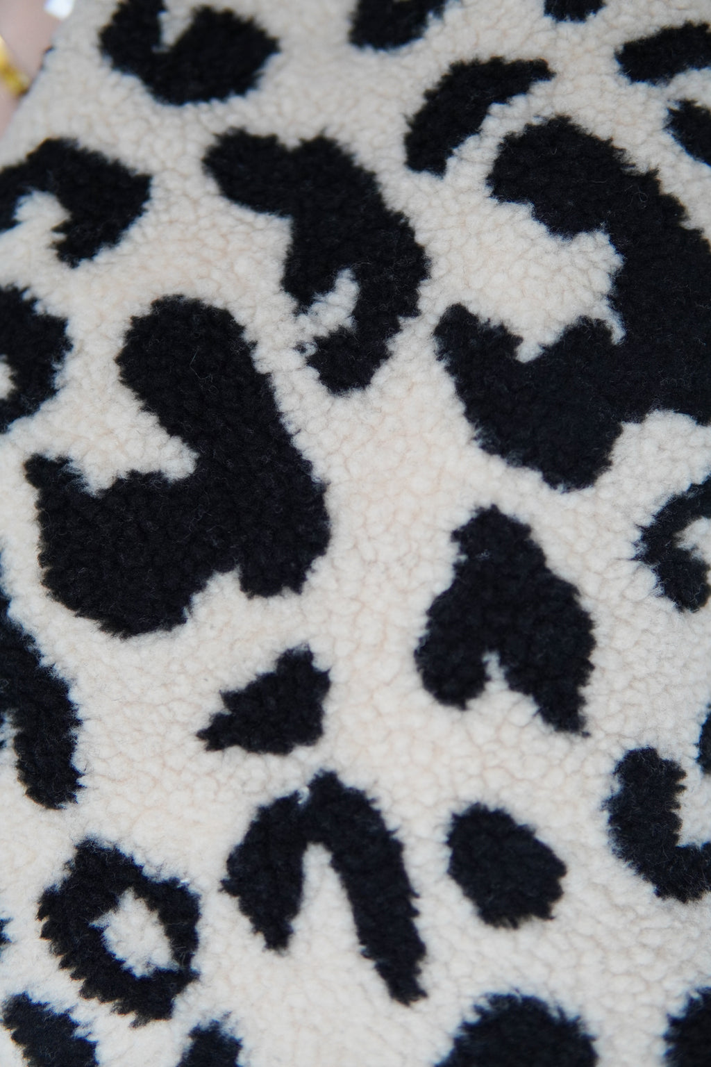 Hülle - Leo Black Teddy